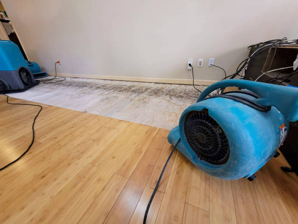 Professional Sewage Cleanup technician working in Palestine, OH